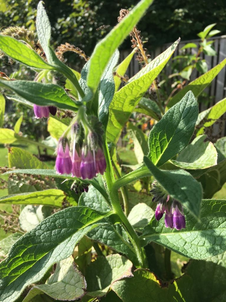 This image has an empty alt attribute; its file name is thumb_img_4878_1024.jpg