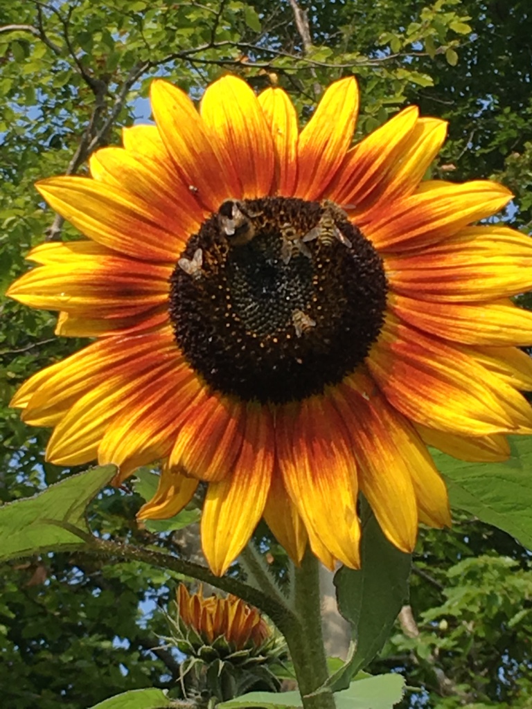 This image has an empty alt attribute; its file name is thumb_img_0116_1024.jpg